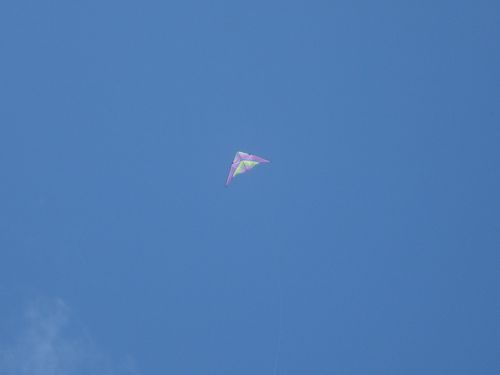 kite flying fun