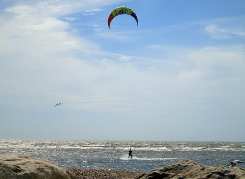 kite  surfer  surf
