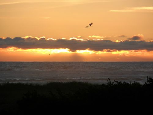 kite sunset ocean