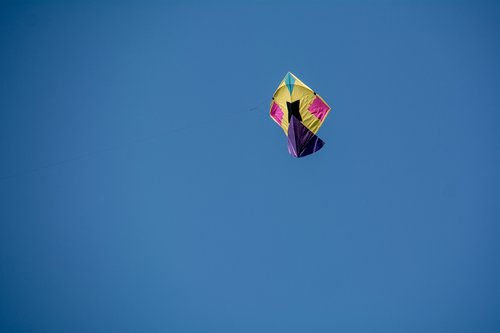 kite  kites  sky