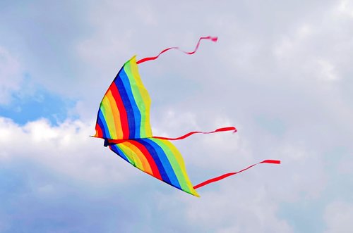 kite  wind  screen
