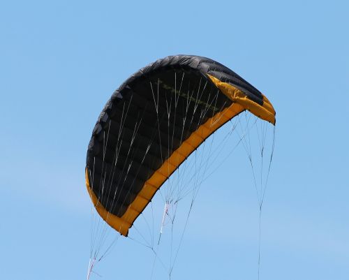 kite dragon fly