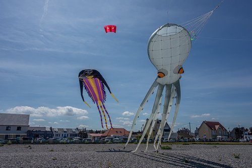 kite  festival  beach