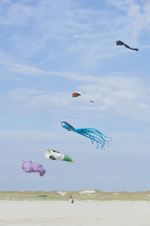 kite festival  denmark  air