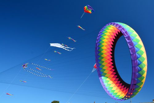 kites flying sky