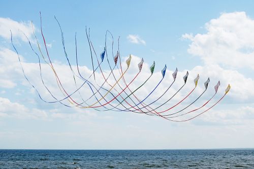 kites sky summer