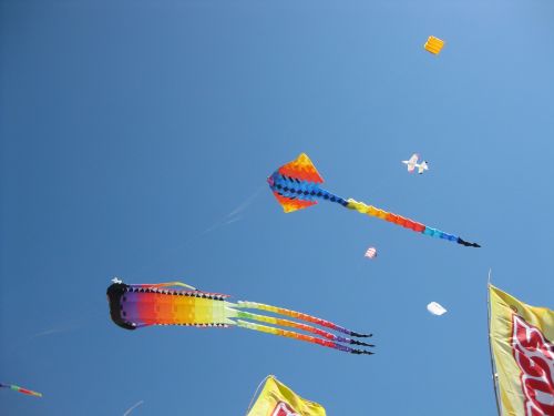 kites flying wind