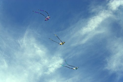 kites  sky  wind