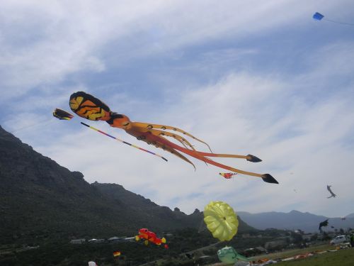 kites nature environment