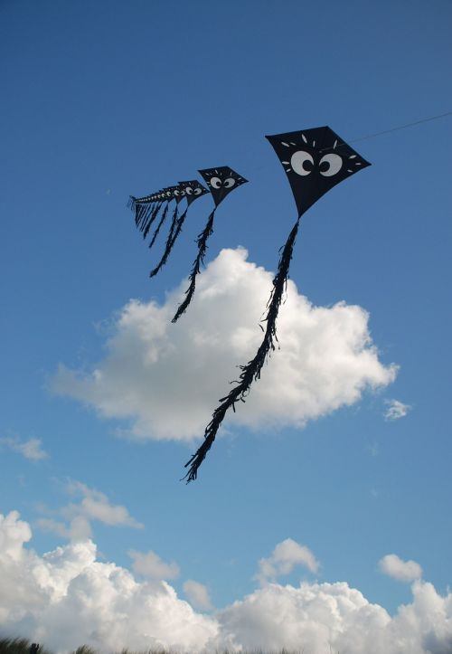 kites kites against blue sky blue