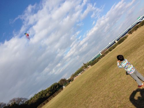 kites kite kite kite lawn