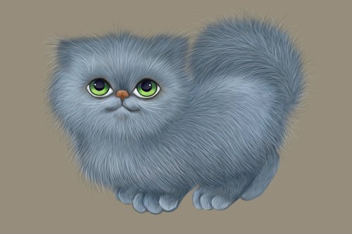 kitten  illustration  vector