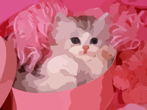 kitten pink background cat
