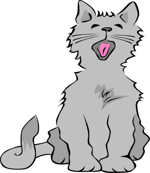 kitty cat gray