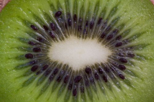 kiwi fruit vitamins