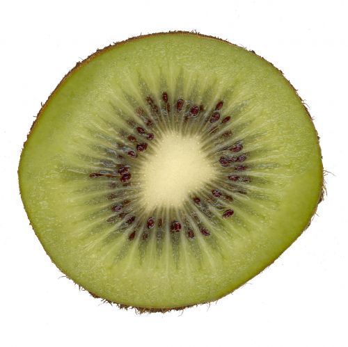 Kiwi