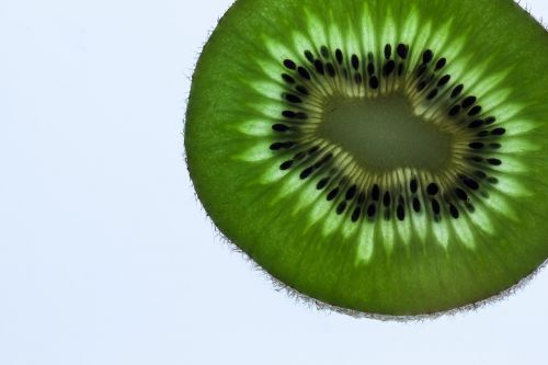 kiwi transmitted light green