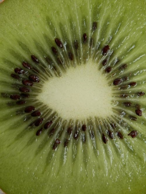 kiwi fruit cores