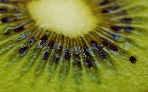 kiwi fruit healthy