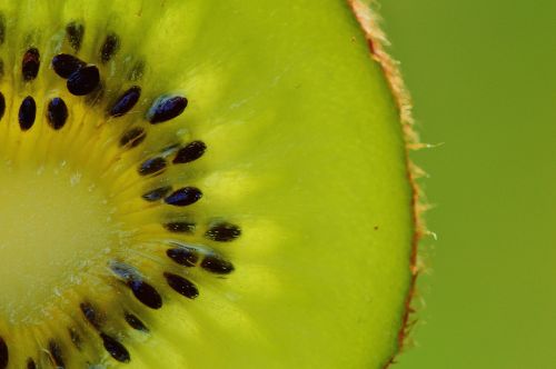 kiwi fruit healthy
