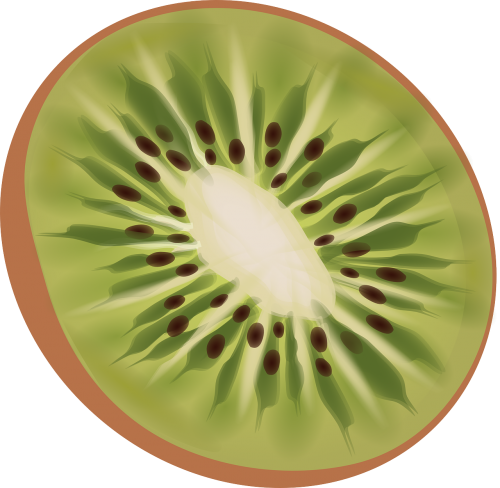 kiwi fruit fresh