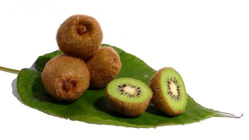 kiwi fruit green