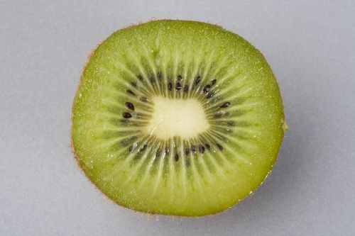 kiwi fruit studio
