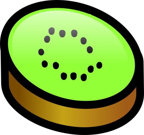 kiwi slice fruit