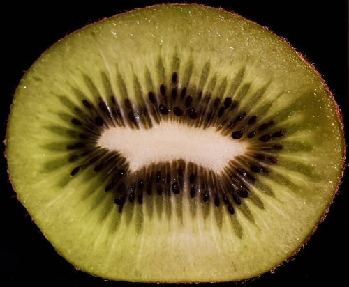 kiwi fruit fetus