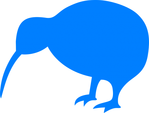 kiwi bird animal