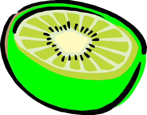 kiwi bright fruit