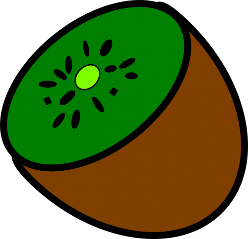 kiwi fruit food