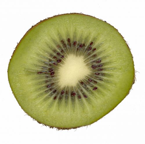 kiwi fruit scanners