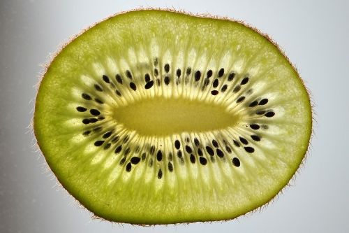 kiwi kiwi slice fruit