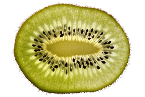 kiwi free fruit food