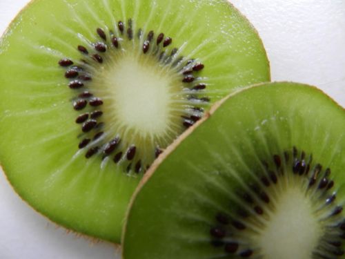 kiwi fruit slices fresh