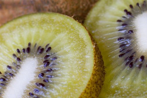 kiwifruit kiwi fruit