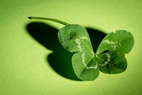 klee four leaf clover green