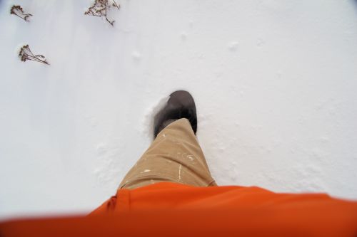 Knee Deep In Snow