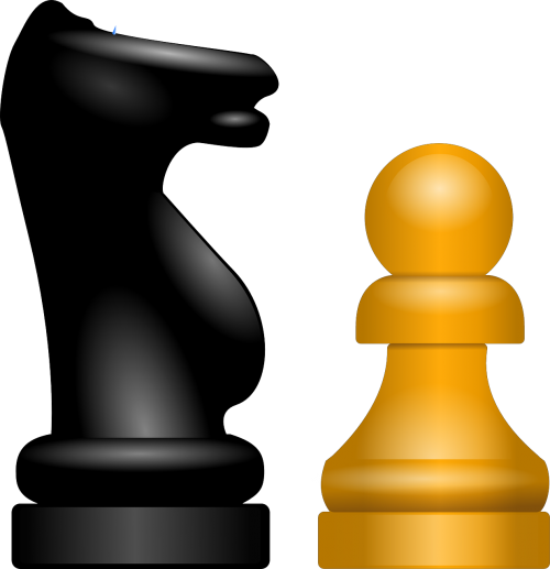 knight pawn chess