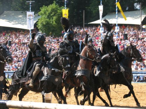 knight knights tournament horses