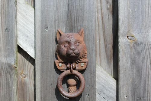 knock gate cat