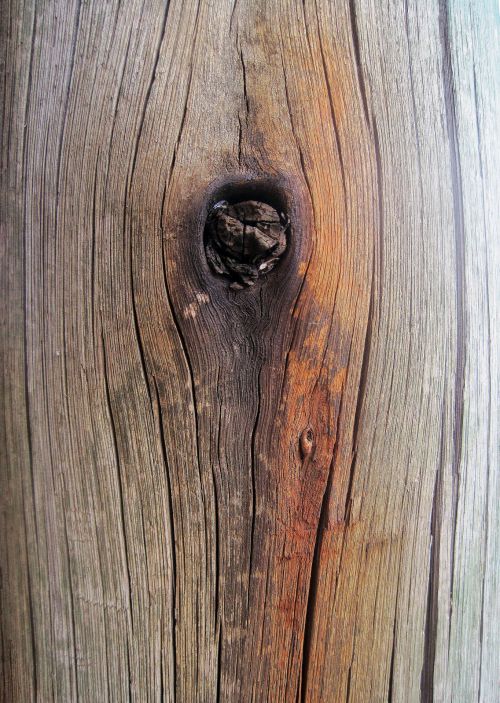 Knot In Wooden Post