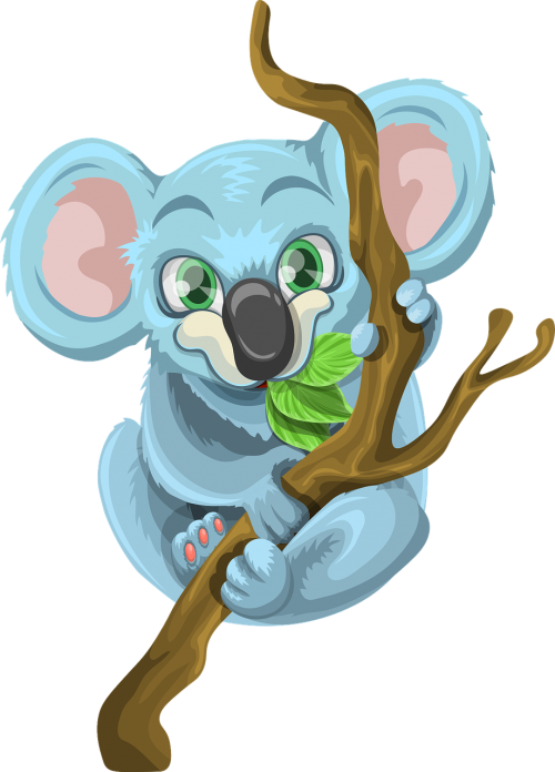 koala animal wood