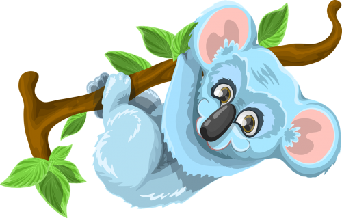 koala animal cute