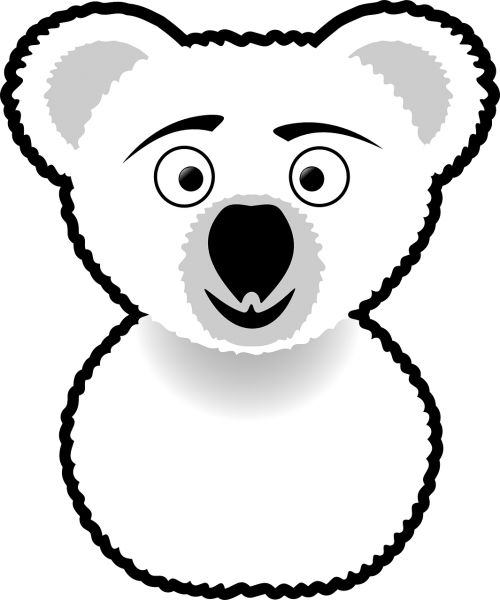 koala snout bear