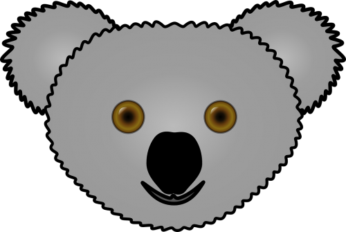 koala head face