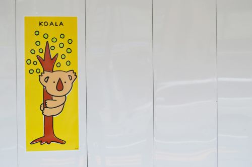 koala wall sticker