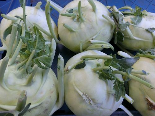 kohlrabi vegetables healthy