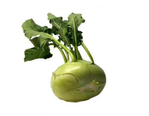 kohlrabi vegetables green